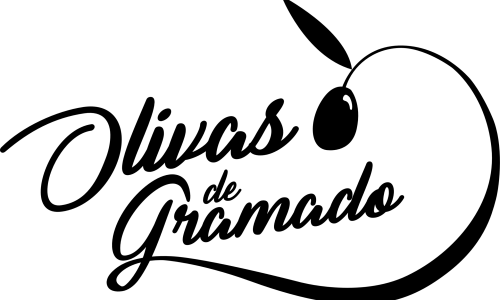 logo olivas